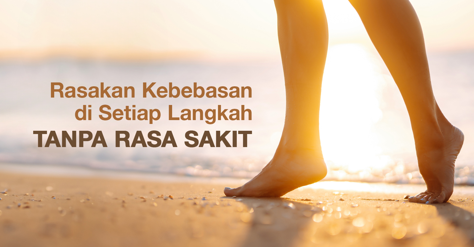 Head Image 4 Head Image 4