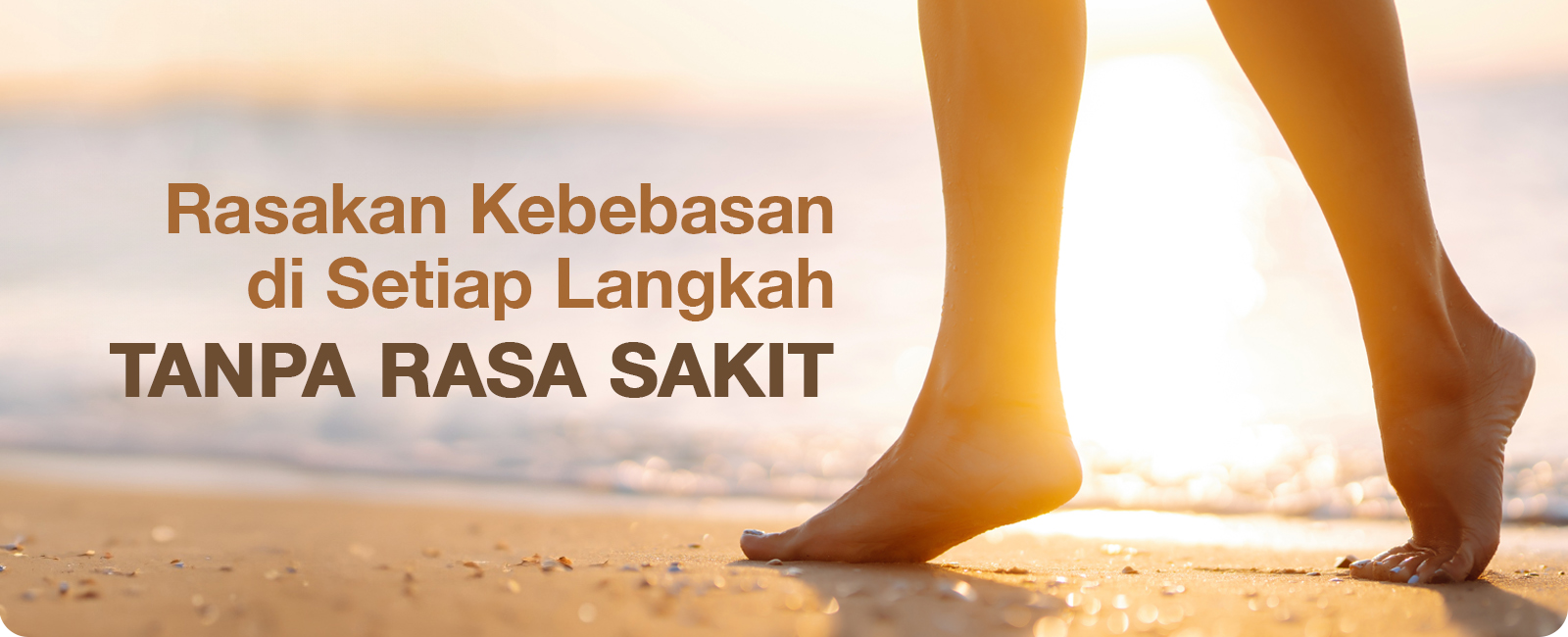 Head Image 6 copy Head Image 6 copy